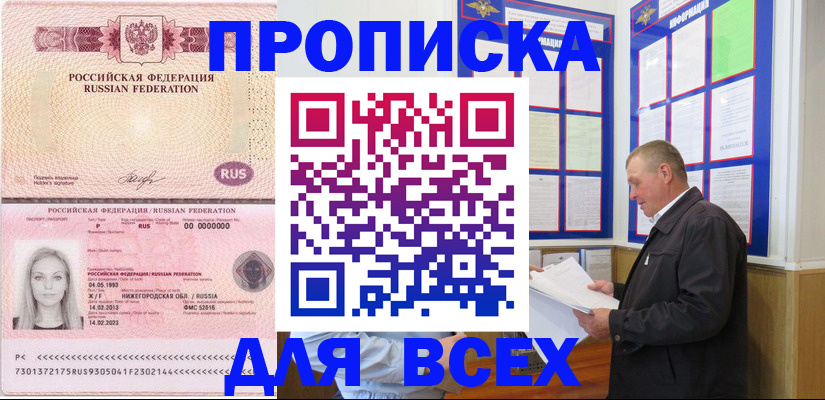 прописка для школы в Купино